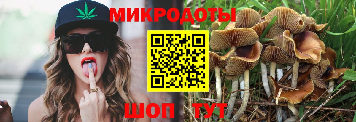 Галлюциногенные грибы мицелий  Вход с VPN  Зеленокумск 