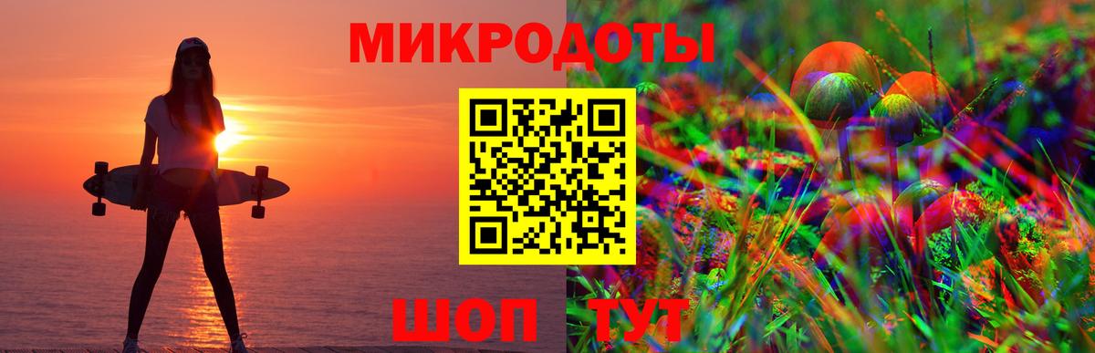 Галлюциногенные грибы Psilocybe Зеленокумск