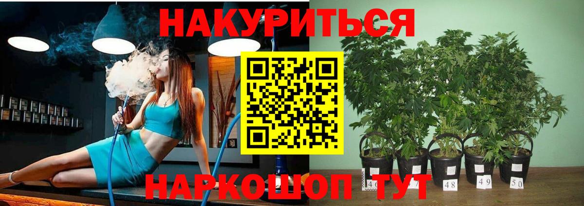 Бошки Шишки сатива  Каннабис LSD WEED  Бошки марихуана гибрид  Вход с VPN  Шишки марихуана Amnesia  Зеленокумск 